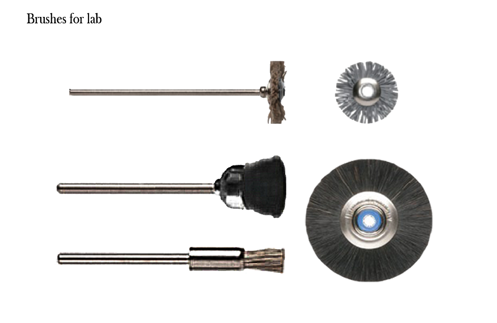 Brushes for lab<br/>Please download DM